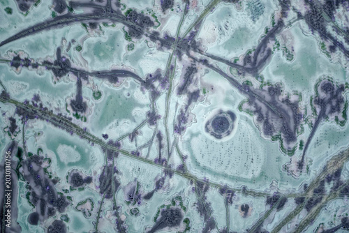 Принти на полотні Macro of unique tinguaite rock polished surface from Khibiny with fluidal loop t
