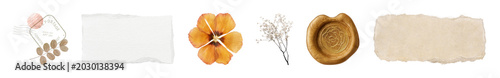 PNG Vintage floral paper elements collection on transparent background