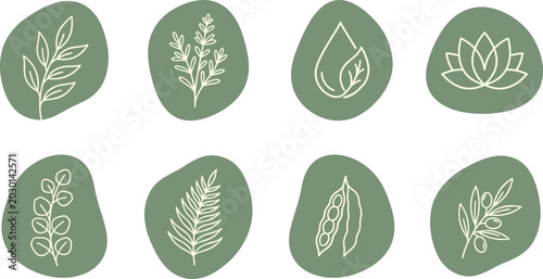 Fotografía Set of eight botanical and nature with line leaves and plants on sage green roun