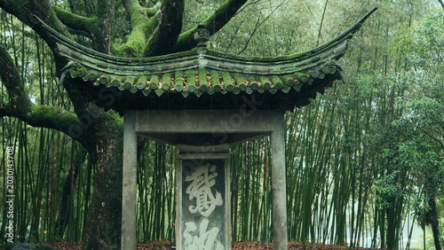 Chinese pavilion with stone stele surrounded by lush green bamboo forest and mossy trees