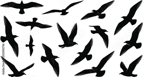 Foto Collection of seagulls black silhouettes flying spreading wings gliding soaring