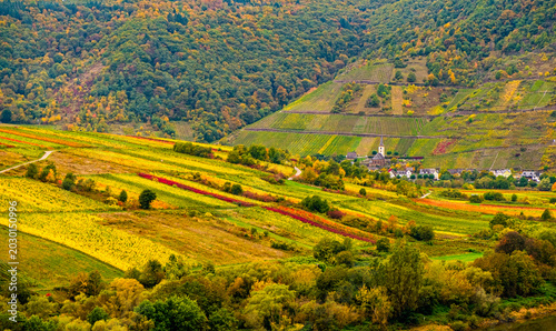 Autumn Moselle River Bend with Colorful Fields and Vineyards