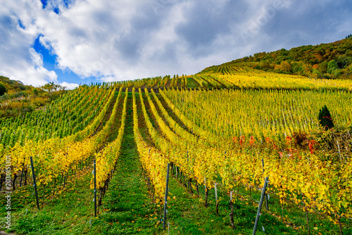 Autumn Moselle River Bend with Colorful Fields and Vineyards