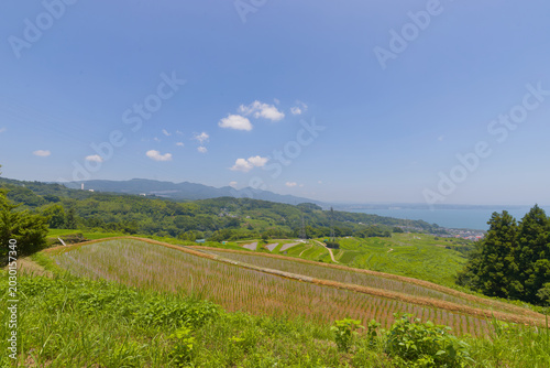 Konstfotografi 水田と青空（大分県別府市内竈）