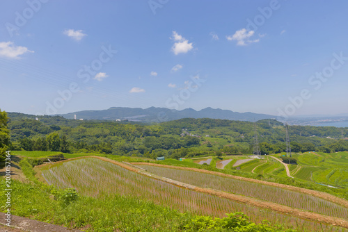 Cuadro en lienzo 水田と青空（大分県別府市内竈）