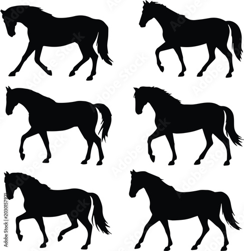 Bild auf Leinwand horse icon set equine silhouettes walking and trotting poses