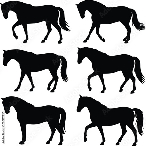 Fotografie horse silhouette set walking trotting poses vector icons
