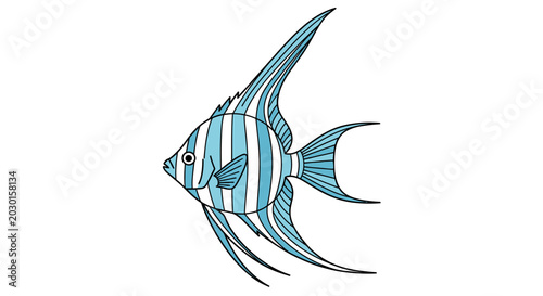 Foto "Vector illustration of a blue striped angelfish isolated on a white background