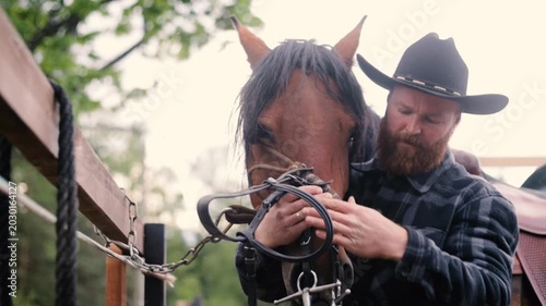 A cowboy harnesses a horse on a farm