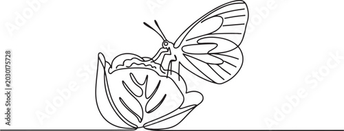 Fotografía One caterpillar cabbage butterfly is eating cabbage leaf on a white background