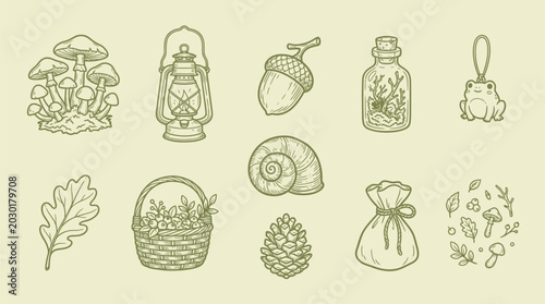 Photos Collection of whimsical forest elements including mushrooms, acorns, and a lantern, perfect for fantasy or nature themes