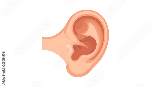 A simplified, cartoon-style depiction of a human ear, presented in profile against a plain white background, showing realistic anatomy
