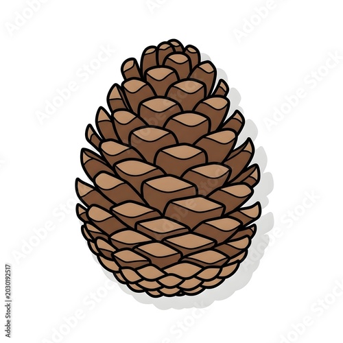 A detailed illustration of a single brown pine cone with visible scales and a subtle shadow, rendered in a clear, crisp style