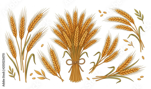 Foto Golden wheat stalks and bunch illustration