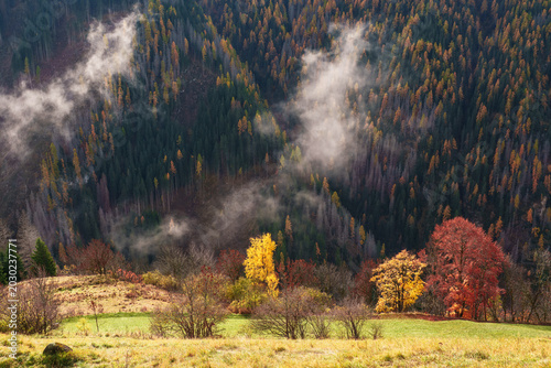 Foto Seasonal autumnal scenery in Dolomite Alps, Cortina d'Ampezzo, Italy