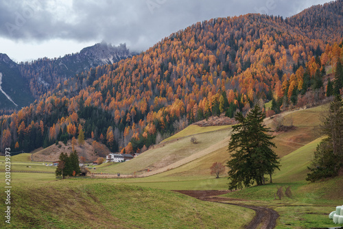 Canvastavla The historic alpine church of San Vito in the Braies valley, Dolomites, Italy