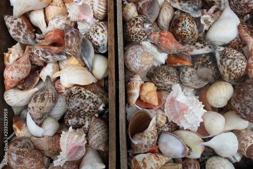 Bilde på lerret A wooded box of painted sea shells in all shapes, sizes and colors, at a flea ma