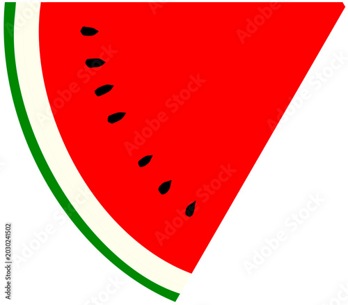 watermelon vector illustration