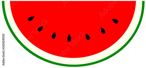watermelon vector illustration