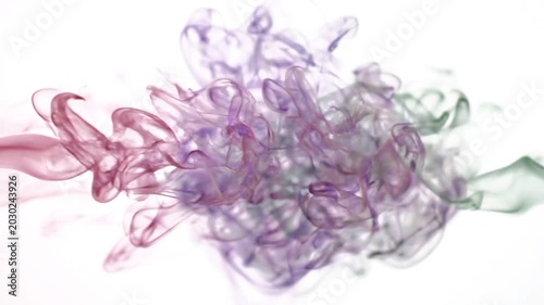Abstract plumes of vibrant colored smoke gracefully blend in red, purple, and green against a white background, symbolizing fluid dynamics and artistic expression
