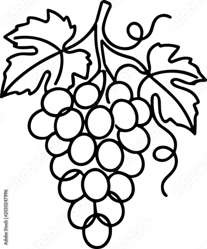 Tablou pe pânză Grapevine illustration, bunch of grapes with leaves, line art, simple design, is