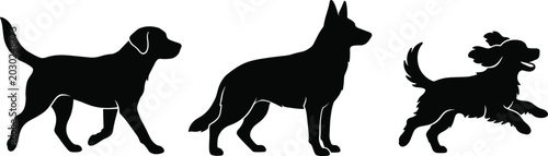 Foto Set of black dog silhouettes standing, walking, and running, vector icons of various breeds isolated on white background