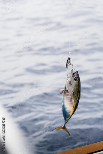 Pesca