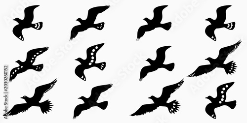 Photography flying birds silhouettes collection of black bird shapes on white