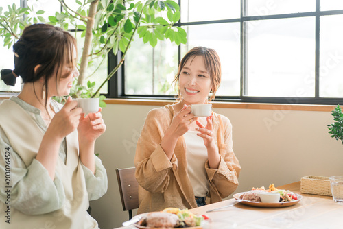 Fotografie Women enjoying a delicious lunch with their female friends/mom friends (girls' g