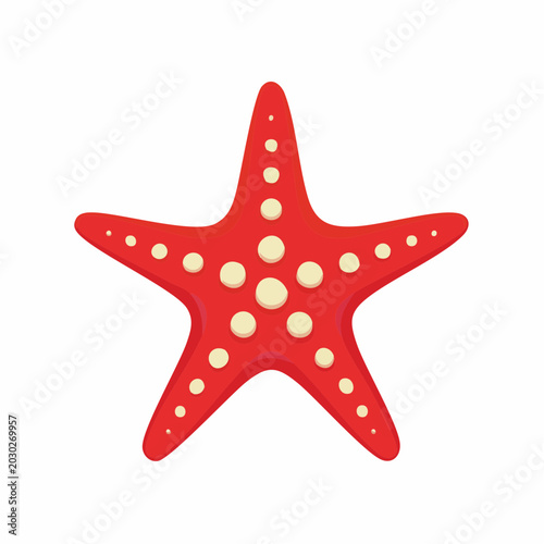 Red Starfish Illustration