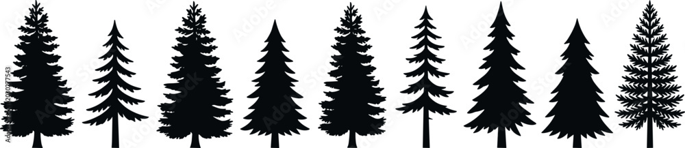 Obraz premium Black Pine Tree Silhouette Set Minimal Vector Illustration For Evergreen Forest Nature And Landscape Design Elements
