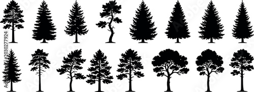 Fotografija Black Forest Tree Silhouette Set Minimal Vector Illustration For Woodland Nature