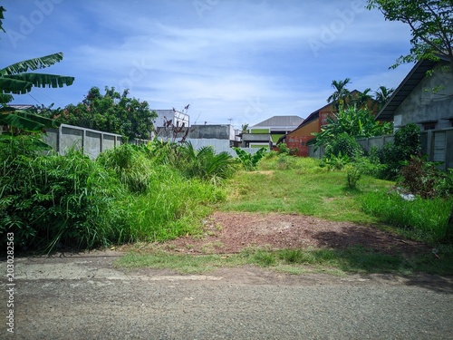 An empty plot of land with overgrown grass and bushes next to a paved road, surrounded by houses and trees under a clear blue sky.