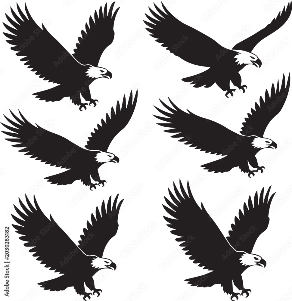 Fototapeta premium Four bald eagles flying with wings spread Vector