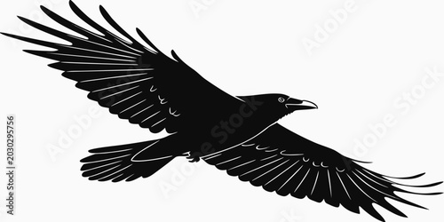 Fotografie Graphic illustration of a soaring black raven silhouette with silhouette illustr