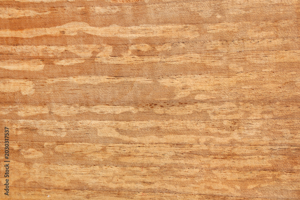 Obraz premium Beige wooden texture as background, closeup