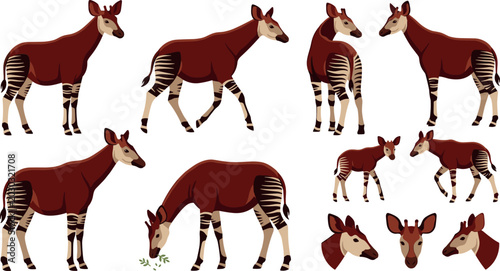 Photos Cute Cartoon Okapi Character Sheet with Multiple Poses and Expressions Including