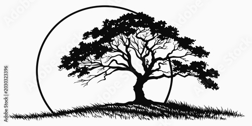 Quadro su tela Stylized black and white silhouette graphic of a sprawling old oak tree set agai