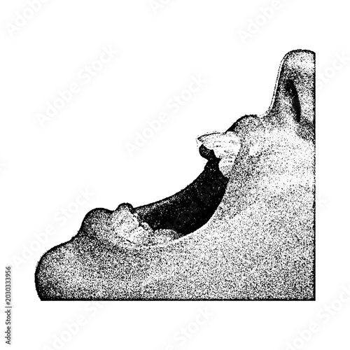 Canvas Print Black and white textured abstract human jawbone fragment with fragment abstract