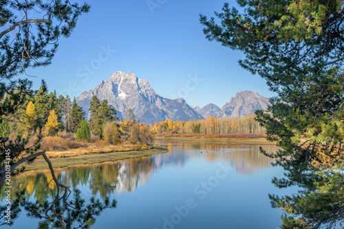 Fotografi Scenic landscape of Mount Moran framed by pine trees on a sunny fall day in Wyom