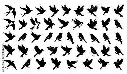 Foto Elegant Tiny Bird Silhouette Bundle with Minimal Flying Animal Shapes