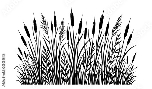 Konstfotografi Black riverbank cattail and reed silhouette vector collection for landscape desi