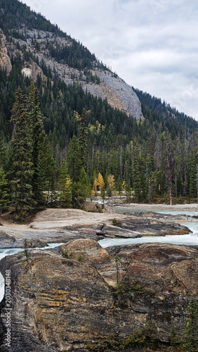 Scenic mountain landscape with glacial river flowing through rocky terrain and pine forest