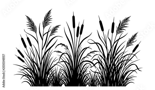 Photos Minimal cattail and reed silhouette vector with marsh grass isolated on white