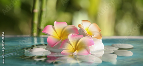 Canvas Print Lake with spa stones and beautiful plumeria flowers in tropical garden