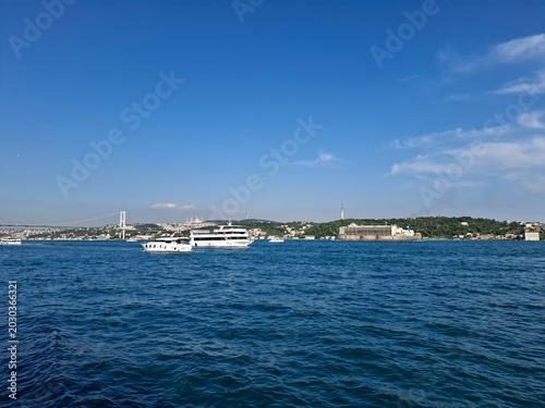 boats in the harbor