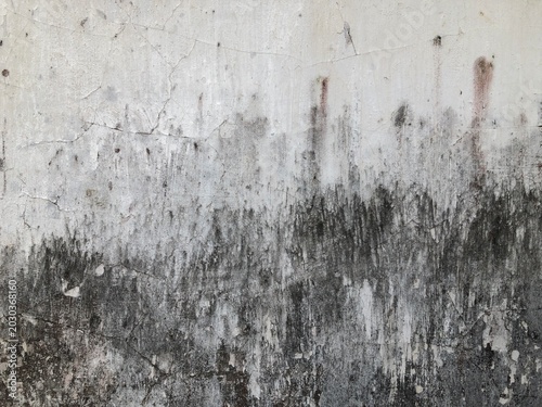 Canvastavla grunge wall texture