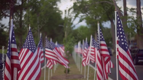 Row of American Flags Lining a Suburban Street with Cinematic Bokeh Background