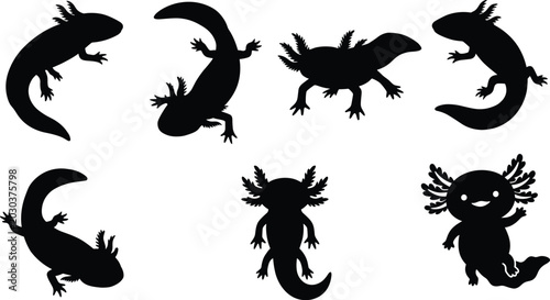 Foto Set of black axolotl silhouettes in various poses, aquatic salamander illustrati
