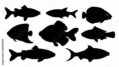 Photography Set of fish silhouettes